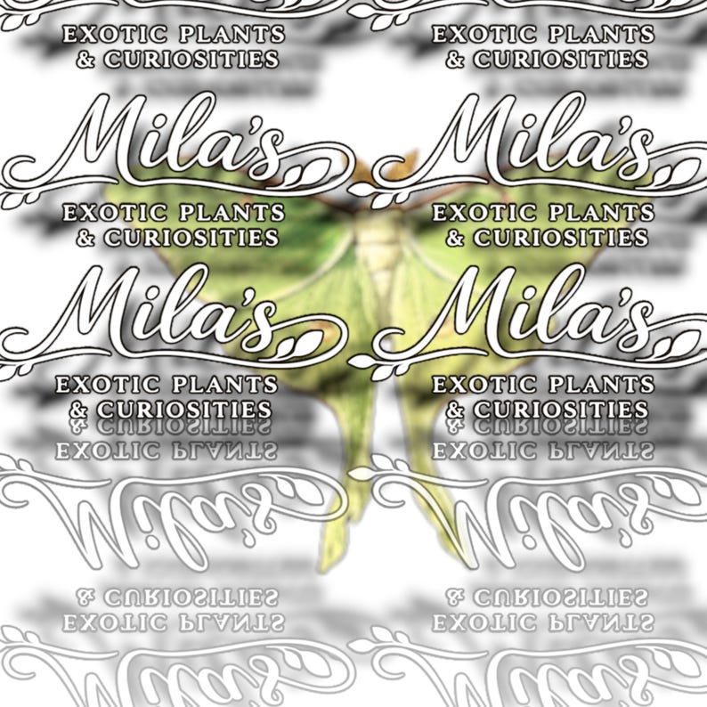 May include: A graphic design featuring the text "Mila's" in a decorative font, with the words "Exotic Plants & Curiosities" above and below. A green moth is in the background. The design is repeated multiple times.