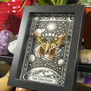 May include: A framed artwork featuring a butterfly with brown and green wings, set against a black and white illustration of the universe. The frame is black, and the artwork includes celestial bodies and the text "The Universe."