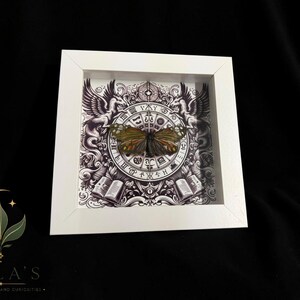 May include: A square white shadow box frame containing a preserved butterfly with green and brown wings. The background features a black and white illustration of a circular zodiac-style chart, two winged creatures, and two open books.