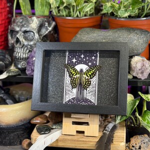 May include: A framed artwork featuring a butterfly with yellow and black markings, set against a black and white illustration of a night scene. The artwork is displayed on a wooden stand, surrounded by plants and decorative items.