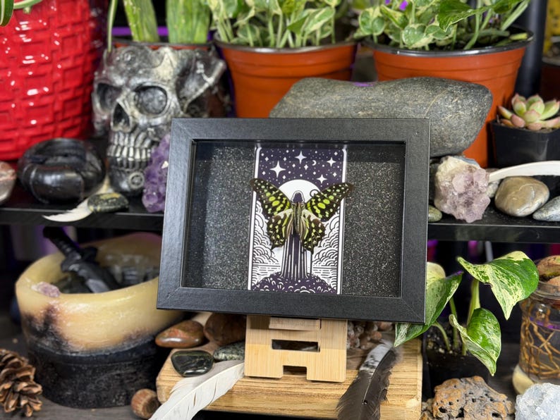 May include: A framed artwork featuring a butterfly with yellow and black markings, set against a black and white illustration of a night scene. The artwork is displayed on a wooden stand, surrounded by plants and decorative items.