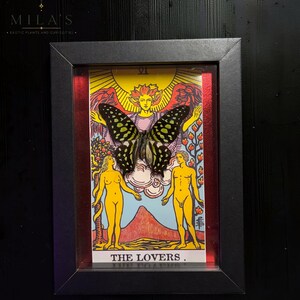 May include: A framed artwork featuring a tarot card titled THE LOVERS with a large, dark-winged butterfly with light green spots mounted over the centre. The card depicts two figures beneath a yellow sun and red wings, all encased in a black frame.