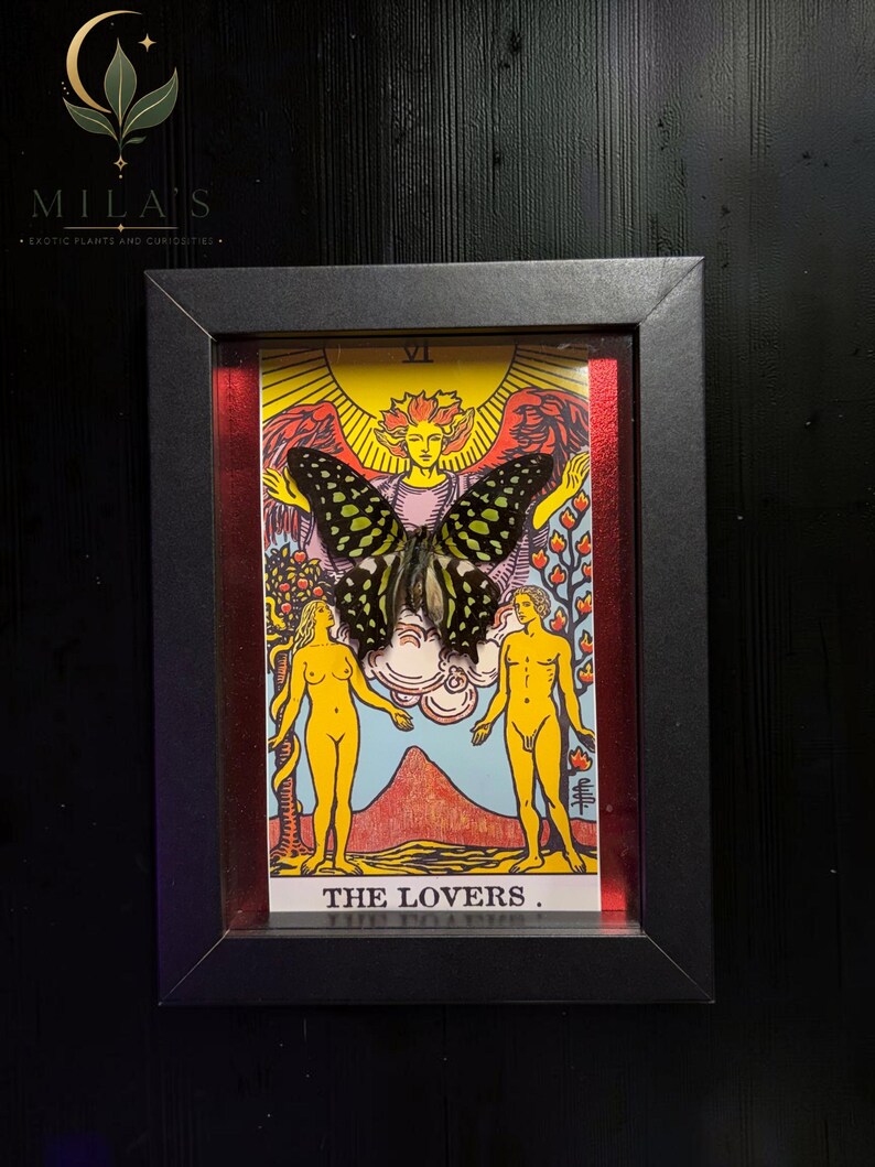 May include: A framed artwork featuring a tarot card titled THE LOVERS with a large, dark-winged butterfly with light green spots mounted over the centre. The card depicts two figures beneath a yellow sun and red wings, all encased in a black frame.