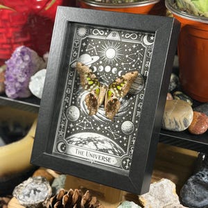 May include: A framed artwork featuring a butterfly with brown and green wings, set against a black and white celestial background. The frame is black, and the artwork includes the text "The Universe". The piece is displayed with various crystals and stones.