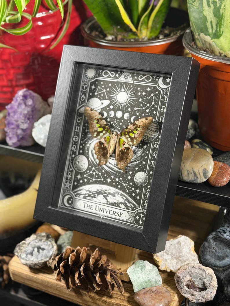 May include: A framed artwork featuring a butterfly with brown and green wings, set against a black and white celestial background. The frame is black, and the artwork includes the text "The Universe". The piece is displayed with various crystals and stones.