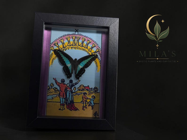 Puede incluir: Un marco negro tipo caja que contiene una ilustraci&oacute;n de carta de tarot del Diez de Copas, con una mariposa grande de alas negras y verde azulado centrada sobre una escena de figuras con los brazos levantados bajo un arco de diez c&aacute;lices dorados.