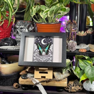 May include: A framed art print featuring a butterfly with teal wings under a crescent moon and stars. The black frame sits on a wooden stand. The artwork is surrounded by plants, rocks, and a skull.