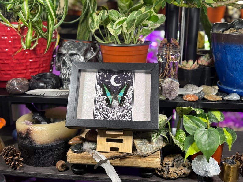May include: A framed art print featuring a butterfly with teal wings under a crescent moon and stars. The black frame sits on a wooden stand. The artwork is surrounded by plants, rocks, and a skull.