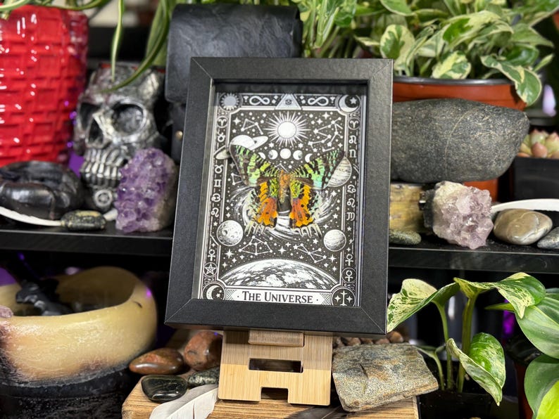 May include: A framed artwork featuring a colorful butterfly against a black and white celestial background. The artwork is labeled "The Universe" and is displayed on a wooden stand. The butterfly has orange, green, and yellow wings. The frame is black.