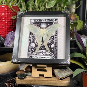 Puede incluir: Una obra de arte enmarcada con una polilla verde p&aacute;lido sobre un dise&ntilde;o de carta de tarot en blanco y negro. La carta dice "El Universo" y tiene im&aacute;genes celestiales. El marco es negro con esquinas decorativas, exhibido en un soporte de madera.