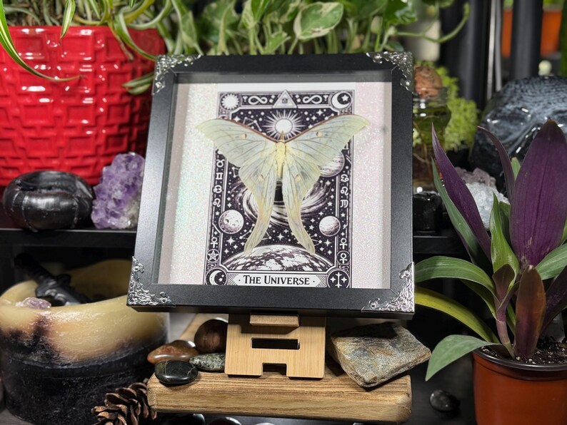 Puede incluir: Una obra de arte enmarcada con una polilla verde p&aacute;lido sobre un dise&ntilde;o de carta de tarot en blanco y negro. La carta dice "El Universo" y tiene im&aacute;genes celestiales. El marco es negro con esquinas decorativas, exhibido en un soporte de madera.