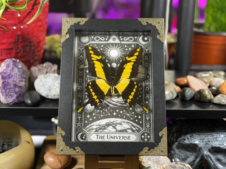 Peut inclure: Une &oelig;uvre encadr&eacute;e repr&eacute;sentant un papillon jaune et noir sur un fond c&eacute;leste en noir et blanc. Le cadre noir est orn&eacute; d'angles dor&eacute;s et le texte "THE UNIVERSE" est visible en bas.