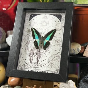 Puede incluir: Una obra de arte enmarcada con una mariposa de alas verde azulado y negras, montada sobre una ilustraci&oacute;n en blanco y negro de dos figuras con trajes espaciales. La obra est&aacute; enmarcada en un marco rectangular negro, con las palabras "THE LOVERS" en la parte inferior.