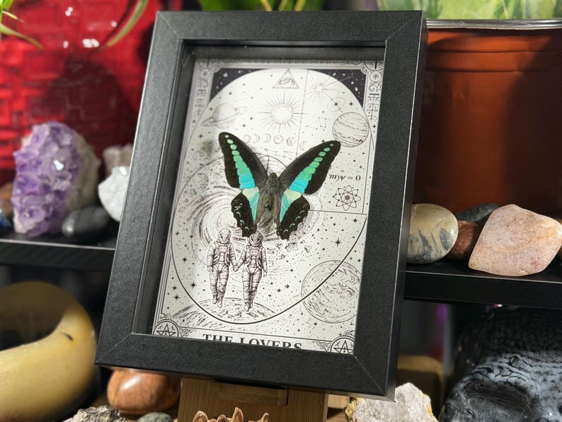 Puede incluir: Una obra de arte enmarcada con una mariposa de alas verde azulado y negras, montada sobre una ilustraci&oacute;n en blanco y negro de dos figuras con trajes espaciales. La obra est&aacute; enmarcada en un marco rectangular negro, con las palabras "THE LOVERS" en la parte inferior.