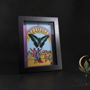 Puede incluir: Una obra de arte enmarcada que presenta una mariposa negra y azul cerceta sobre una colorida ilustraci&oacute;n de figuras en un paisaje. La escena incluye un cielo amarillo con un arco&iacute;ris de diez copas doradas, todo dentro de un marco negro simple.
