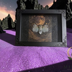 White Ghost Cicada Framed Art, Full Moon Shadow Box, Ornate Gothic Decor, 5x7 image 8