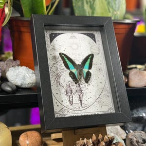 Puede incluir: Obra de arte enmarcada en negro con una mariposa de alas turquesas y negras. La obra tiene un fondo celestial en blanco y negro con las palabras "The Lovers". El marco es negro.
