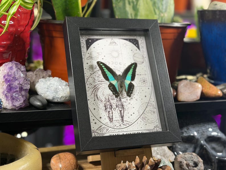 Puede incluir: Obra de arte enmarcada en negro con una mariposa de alas turquesas y negras. La obra tiene un fondo celestial en blanco y negro con las palabras "The Lovers". El marco es negro.