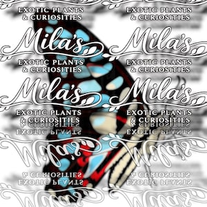 May include: A digitally enhanced image featuring a butterfly with blue, red, and black patterns. The butterfly is overlaid with the text "Mila's" and "Exotic Plants & Curiosities" in a decorative font, creating a layered effect.