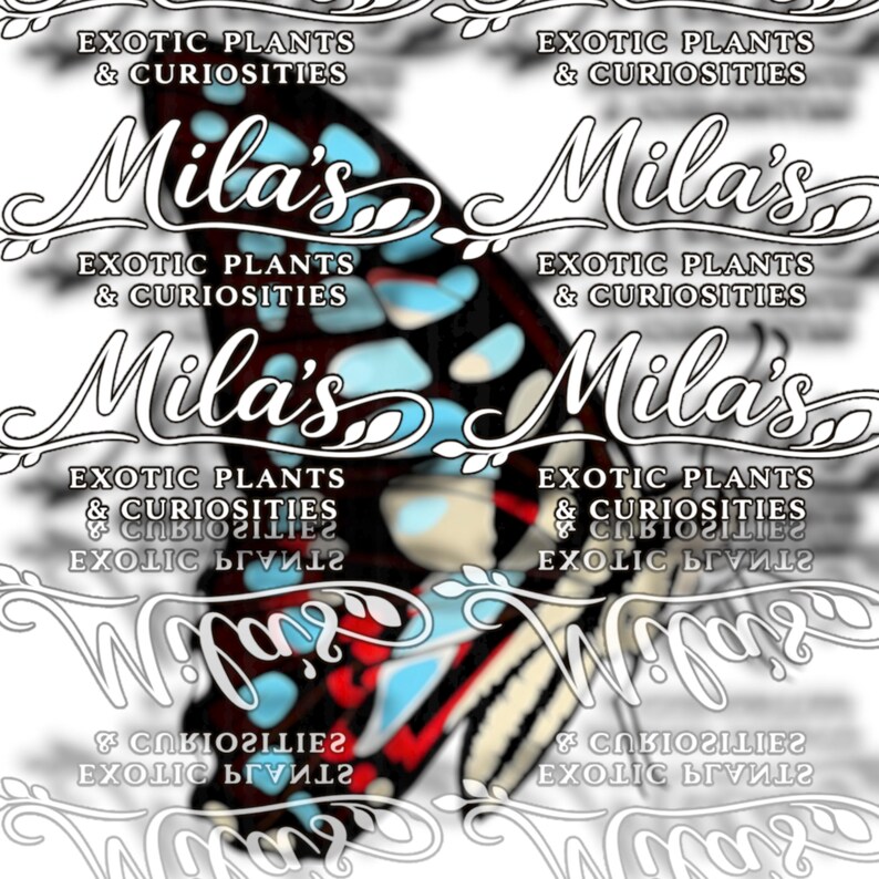 May include: A digitally enhanced image featuring a butterfly with blue, red, and black patterns. The butterfly is overlaid with the text "Mila's" and "Exotic Plants & Curiosities" in a decorative font, creating a layered effect.