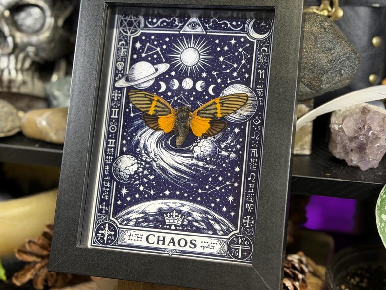 May include: Framed artwork featuring a moth with orange and black wings, set against a dark blue celestial background with planets, stars, and the word "CHAOS". The artwork is in a black frame.