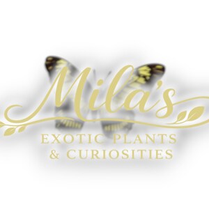Pode incluir: Um logotipo para "Mila's Exotic Plants & Curiosities" apresenta uma borboleta com asas amarelas e pretas. O texto est&aacute; em uma fonte dourada, com o nome da empresa acima da descri&ccedil;&atilde;o.