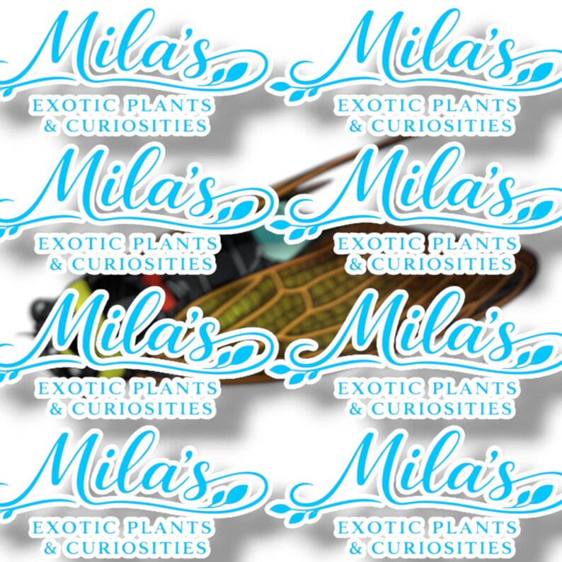 K&ouml;nnte beinhalten: Ein sich wiederholendes Muster mit dem Text "Mila's Exotic Plants & Curiosities" in hellblauer Schrift. In der Mitte ist eine Zikade zu sehen. Das Design eignet sich f&uuml;r Aufkleber oder Etiketten.