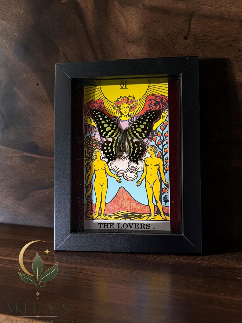 May include: A black rectangular shadow box frame containing a tarot card titled THE LOVERS with the Roman numeral VI. A large, dark-coloured butterfly with light green spots is mounted over the central figure of the card, which depicts two nude figures standing before a mountain and a large yellow sun.