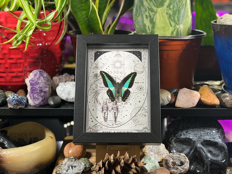 Puede incluir: Una obra de arte enmarcada con una mariposa de alas turquesas y negras, montada sobre una ilustraci&oacute;n en blanco y negro de dos figuras y elementos celestiales. El marco es negro. La obra se exhibe en una estanter&iacute;a con cristales y plantas.