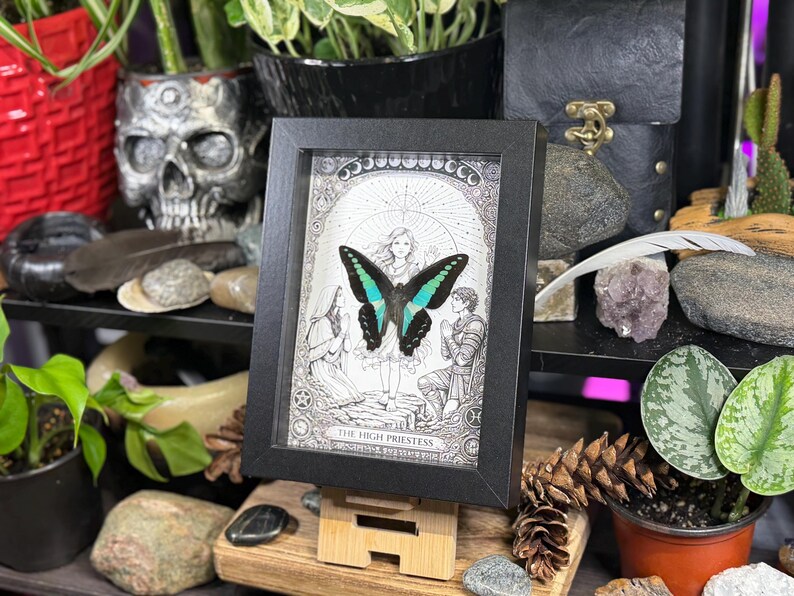 May include: A framed black and white illustration featuring a butterfly with teal and black wings. The artwork is labeled "The High Priestess" and is displayed on a wooden easel. The image is surrounded by plants, stones, and decorative items.