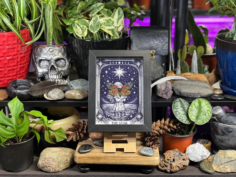 May include: A framed print of "The Star" tarot card, featuring a celestial design with a central star and a figure. The artwork is in a black frame and displayed on a wooden easel, surrounded by plants and decorative stones.