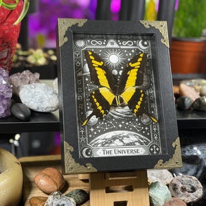 Spécimen encadré du Grand Machaon jaune « L’Univers » | Décoration de Tarot Céleste H
