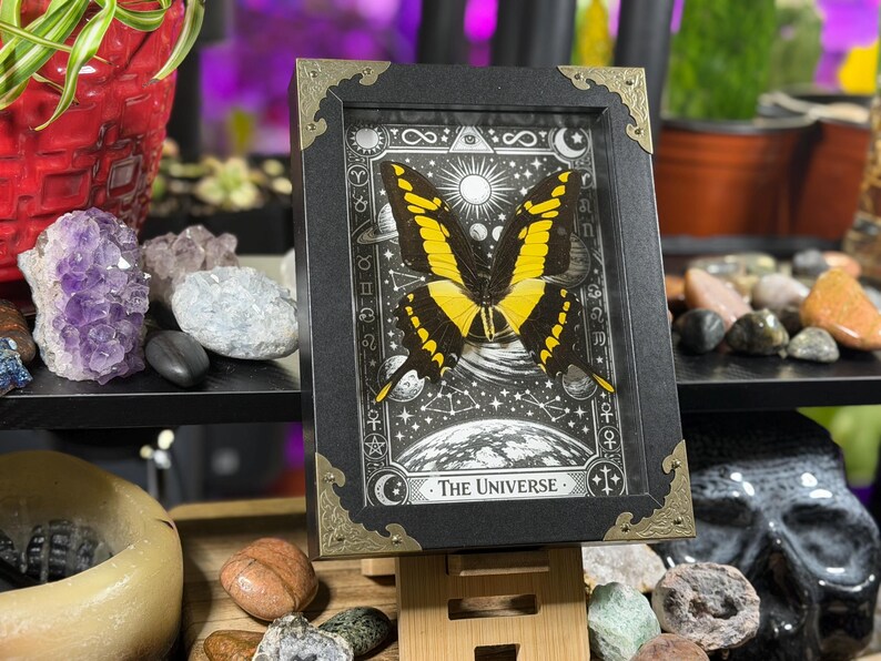 Spécimen encadré du Grand Machaon jaune « L’Univers » | Décoration de Tarot Céleste H