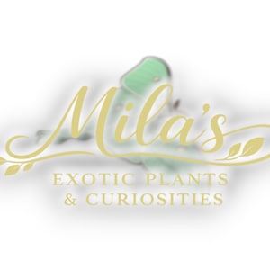 May include: A logo for "Mila's Exotic Plants & Curiosities" features elegant gold script and text. A blurred green butterfly shape is in the background. The text is in a serif font, with a decorative flourish.