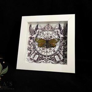 May include: A square white shadow box frame containing a preserved butterfly with orange and black wings. The background features a detailed black and white illustration of a circular zodiac-style chart, two winged creatures, and open books.