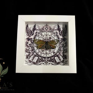 May include: A square white shadow box frame containing a preserved butterfly with orange and black wings. The background features a detailed black and white illustration of a circular zodiac chart, two winged creatures, and open books.