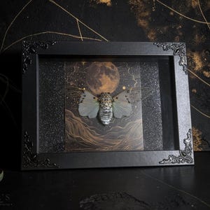 White Ghost Cicada Framed Art, Full Moon Shadow Box, Ornate Gothic Decor, 5x7 image 3
