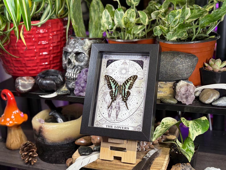 Puede incluir: Una obra de arte enmarcada con una mariposa de alas verdes y negras, sobre un dise&ntilde;o de carta del tarot. El marco negro est&aacute; apoyado en un soporte de madera. La obra est&aacute; rodeada de plantas, cristales y objetos decorativos.