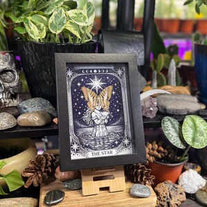 May include: A framed illustration of "The Star" tarot card, depicting a celestial scene with a woman and butterfly wings. The artwork is in a black frame, displayed on a wooden stand, surrounded by plants and decorative items.