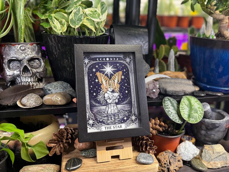 May include: A framed illustration of "The Star" tarot card, depicting a celestial scene with a woman and butterfly wings. The artwork is in a black frame, displayed on a wooden stand, surrounded by plants and decorative items.