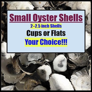 May include: A collection of small oyster shells, with a sign that reads "Small Oyster Shells" and "2-2.5 inch Shells, Cups or Flats, Your Choice!!!" The shells are primarily white and gray.