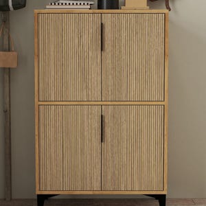 Modern Shoe Cabinet with 4 Doors & 4 Shelves | Stylish Storage Organizer | 114x72x37 cm Dolphin Sapphire