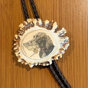 May include: A bolo tie featuring a central oval inlay with a detailed illustration of a dark-coated dog holding a bird in its mouth. The inlay is set within a textured, natural-colored antler frame, attached to a braided dark brown leather cord.