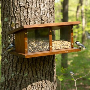 May include: A wooden bird feeder with two clear compartments filled with birdseed is mounted on a tree trunk. The feeder has a pitched roof and is adorned with small birds. The feeder is approximately 10 inches wide.