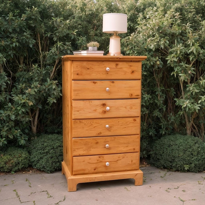 May include: A tall, light-colored wooden dresser with six drawers and silver knobs. A lamp with a cream-colored shade and a small plant sit on top of the dresser. The dresser is set against a backdrop of green foliage.