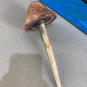 Peut inclure: Un champignon décoratif avec un chapeau marron tacheté et une tige de couleur claire. Le chapeau a une finition brillante et la tige semble être en bois. Le champignon est une pièce unique de décoration intérieure.