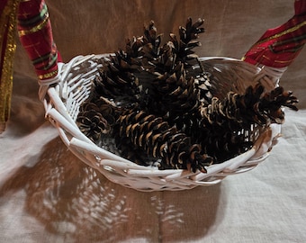 Evergreen Pinecones (12ct multi size bulk)