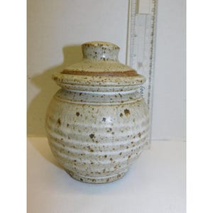 Può includere: Un vaso di ceramica beige con coperchio. Il vaso ha un corpo rotondo con scanalature orizzontali e macchie marroni. Il coperchio è di colore e forma simili, con un piccolo pomello sulla parte superiore. Un righello è sullo sfondo.