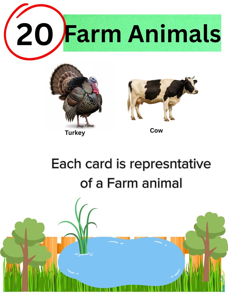 18 Farm Animal Flash Cards | Montessori Learning Cards | Real Picture ...