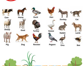 May include: A colorful educational poster featuring 20 farm animals, each labeled with its name. The animals include a cow, horse, duck, hen, donkey, cat, sheep, goat, turkey, goose, rabbit, lamb, pig, dog, rooster, pigeon, emu, and bee.
